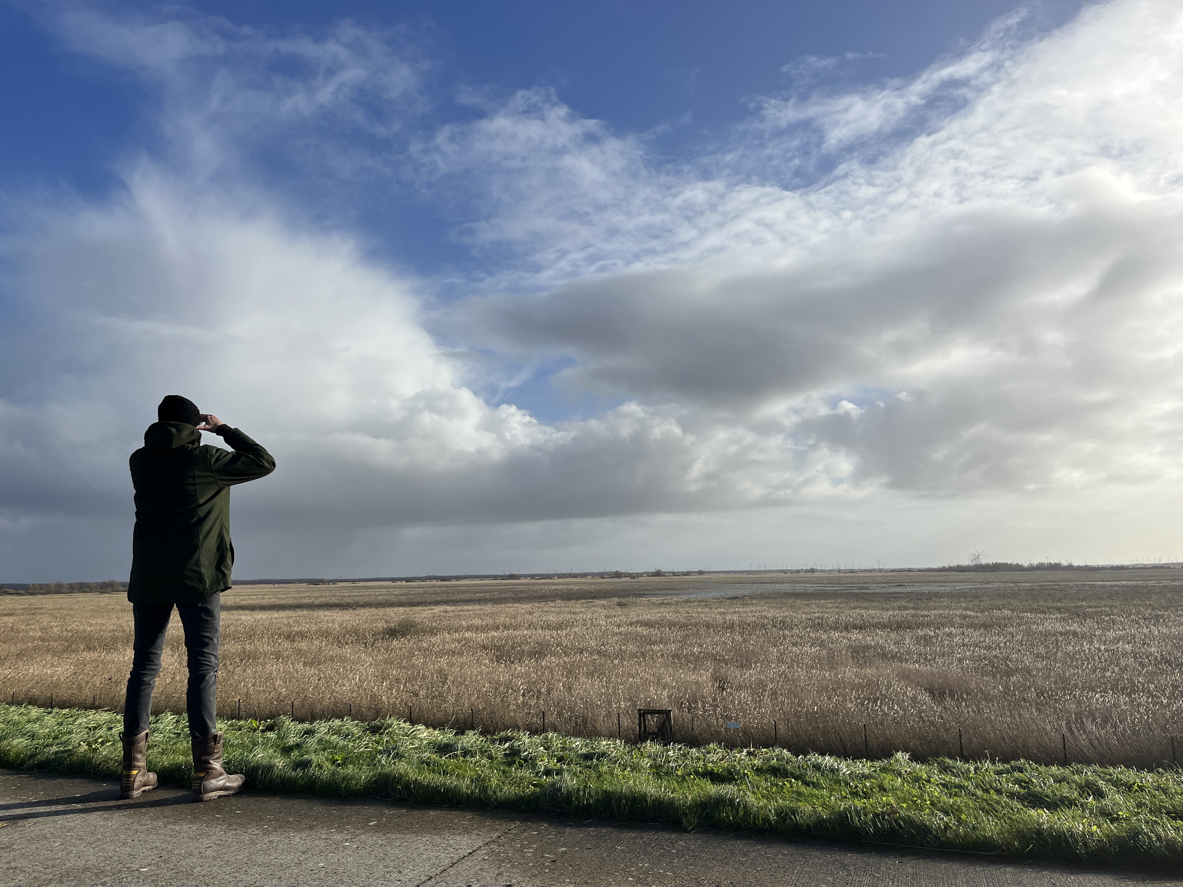 (Oostvaardersplas). Foto van Gerda van der Meer.
Uitzicht